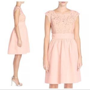 Eliza J Lace Faille Cap Sleeve Dress Lace Pink Blush Petite LP 14P NWT Wedding